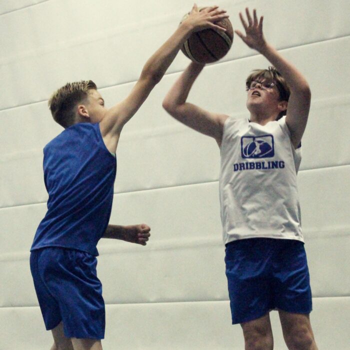 Dribbling basketball school