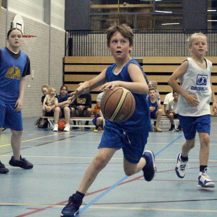 Dribbling basketball school
