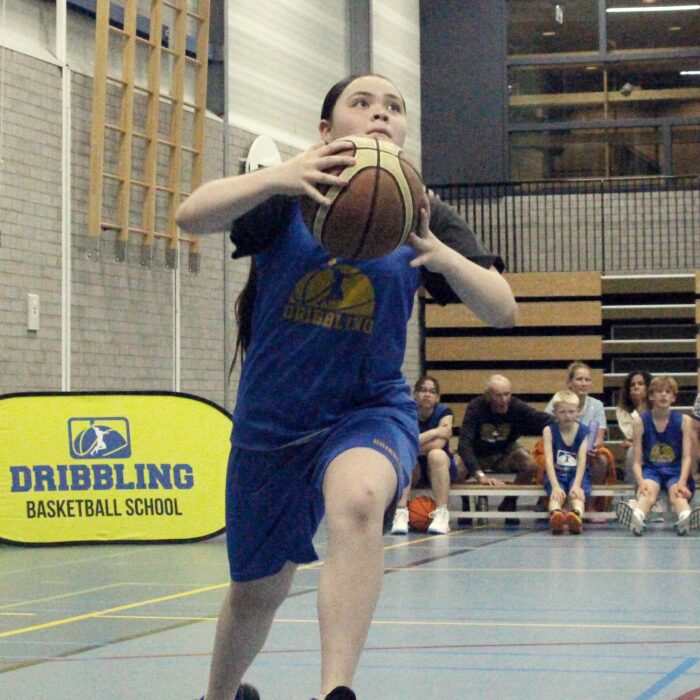 Dribbling basketball school