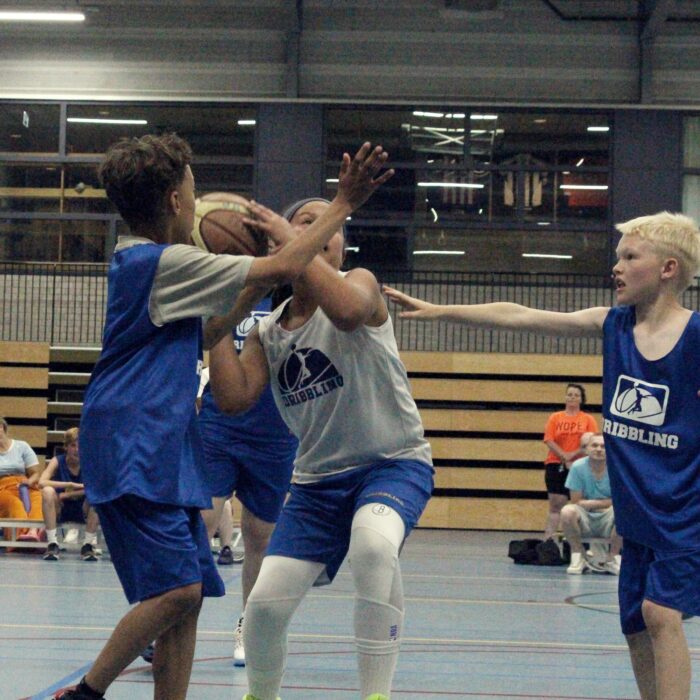 Dribbling basketball school