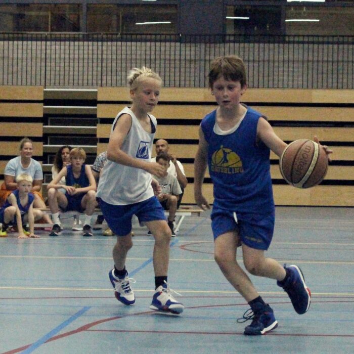 Dribbling basketball school