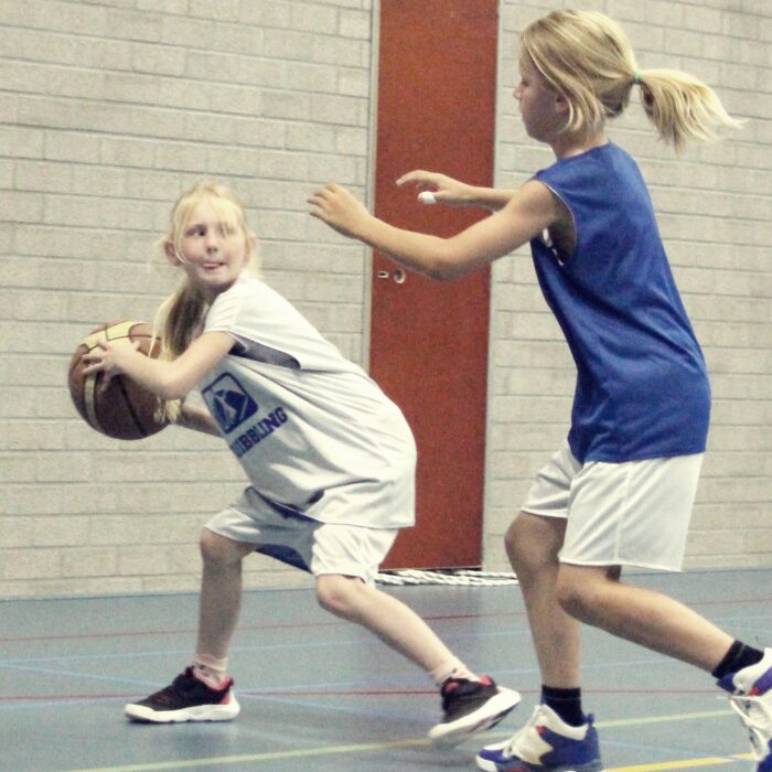 Dribbling basketball school