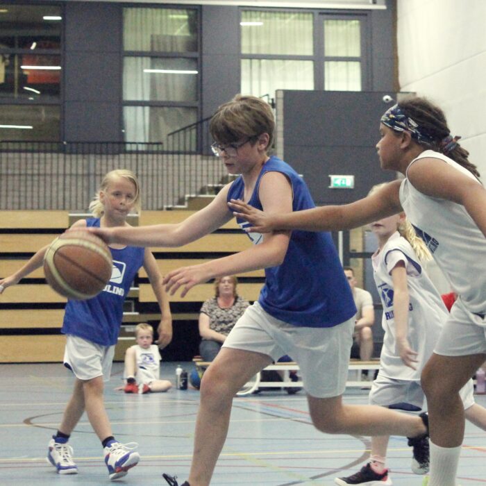 Dribbling basketball school