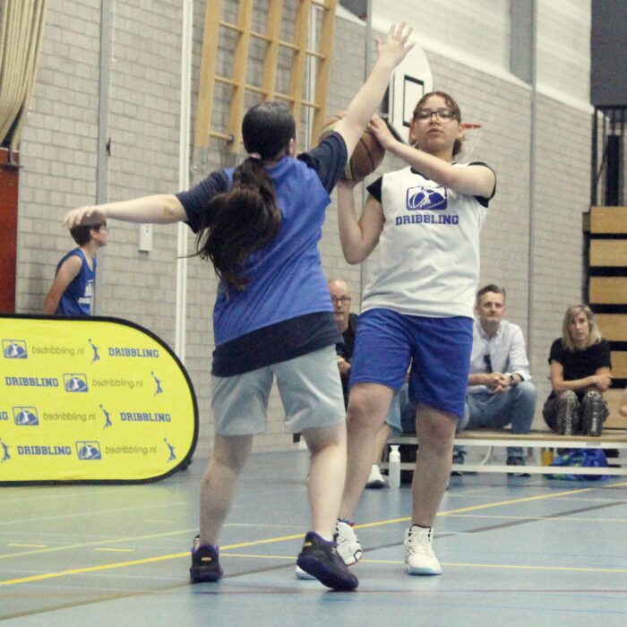 Dribbling basketball school