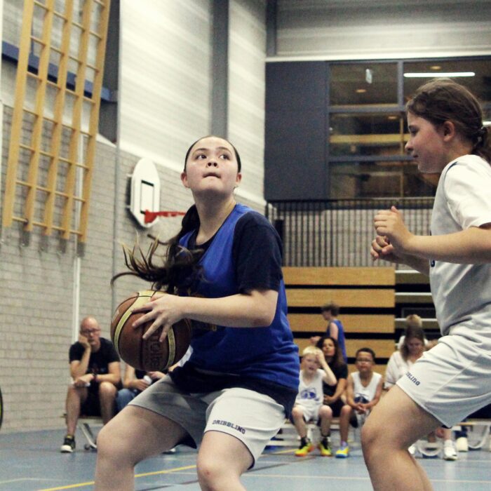 Dribbling basketball school