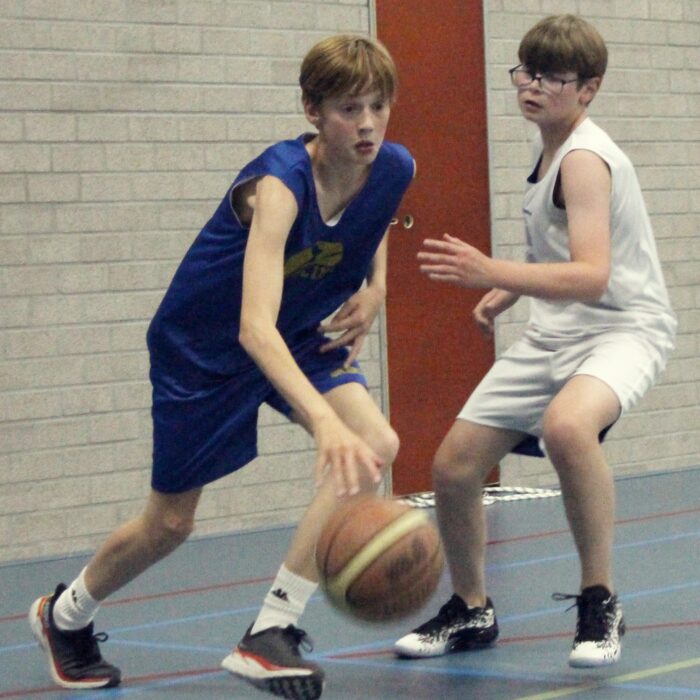 Dribbling basketball school