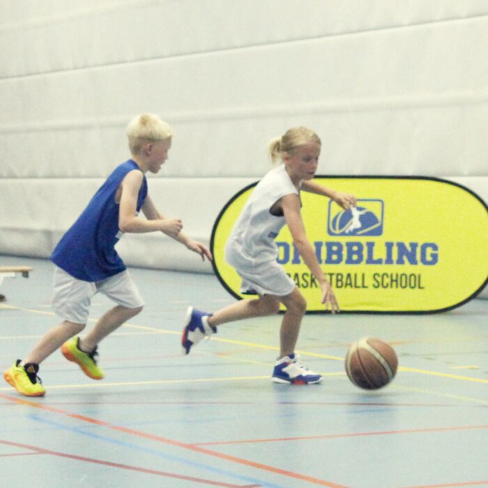 Dribbling basketball school