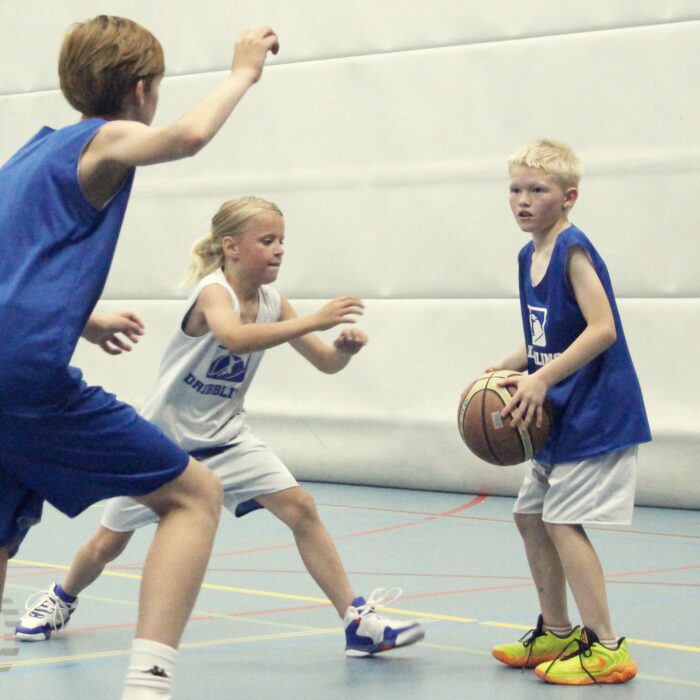 Dribbling basketball school